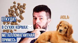 Очередная жесть в сухих кормах… | UA DOG