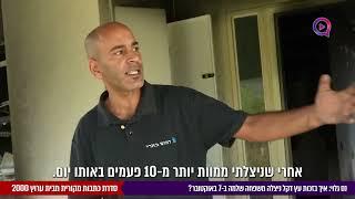 נס בתוך נס - סיפור אישי  איך בזכות עץ דקל ניצלה משפחה שלמה ב 7 באוקטובר