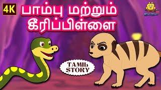 பாம்பு மற்றும் கீரிப்பிள்ளை - Bedtime Stories | Moral Stories | Tamil Fairy Tales | Tamil Stories