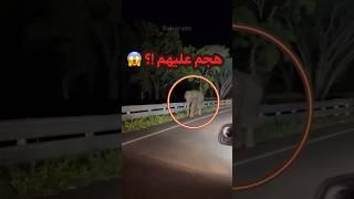 ماذا تفعل لو كنت مكانهم ؟