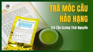 Cách Pha Trà Thái Nguyên Móc Câu Hảo Hạng - Lộc Tân Cương