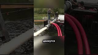 Как работает Сомон Канон!