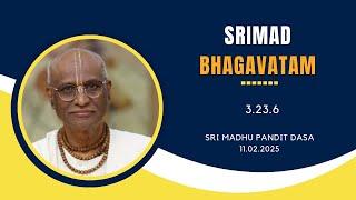 Increasing Austerity and Overcoming Complacency | Sri Madhu Pandit Dasa | SB 3.23.6 | 11.02.2025