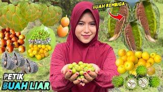 Petik buah liar langka | Buah unik masa kecil