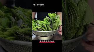 후다닥 깻잎 장아찌 #shorts