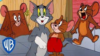 Tom & Jerry | Best of Jerry Mouse  | Classic Cartoon Compilation | @wbkids​