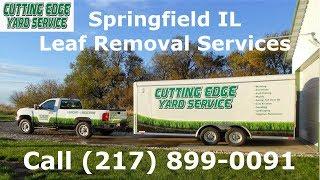 Springfield Il Fall Leaf Cleanup Services From Cutting Edge Yard Service