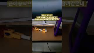 알고보니천재였던 스플#깃털유머