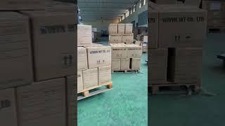 This Is Where Pet Toy Magic Happens: Behind-the-Scenes at Our Warehouse! WINVN INT CO., LTD