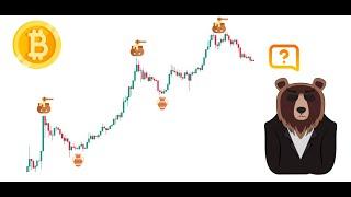CryptoMedved начал игру! Обзор биткоина и планы на 2023 год. #btc #cryptomedved