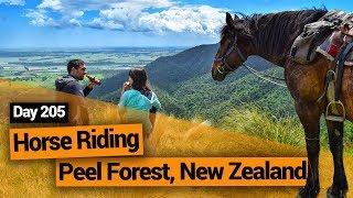  Horse Riding in New Zealand: Peel Forest Horse Trekking – New Zealand's Biggest Gap Year