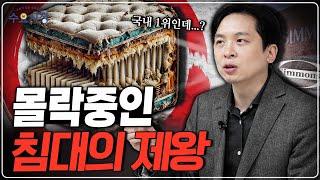 광고마케팅으로 성장했던 미국 시몬스 침대ㅣ파산 보호신청까지 몰락한 이유ㅣ수요시장