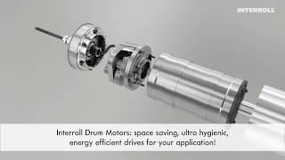 Interroll Drum Motor