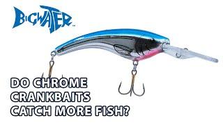 Do Chrome Crankbaits Work Best for Walleye Fishing in Lake Erie? - Bigwater Fishing Podcast