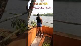 GOA | Sal River near Cavelossim | CAVELOSSIM | MOBOR #GOA #goabeach #beach