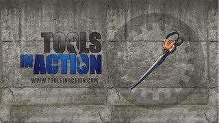 WORX 32V Blower