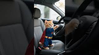 Пёс, ты где права купил?  Кот за рулем сигналит собакам#smartcat  #shorts  #cat  #funny
