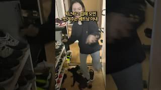 퇴근하고 집에 오면 항상 반겨주는 베트남 아내와 강아지 #국제커플 #베트남 #viral #funny #happy #shorts