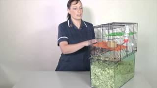 Accommodation: Cleaning a Gerbil enclosure