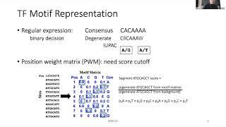 STAT115 Chapter 10.1 Transcription Regulation