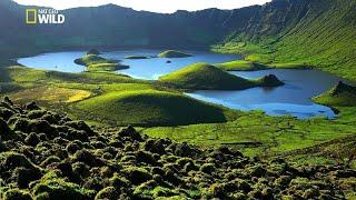 Kehidupan Flora dan Fauna Liar Pulau-Pulau di Eropa | Nat Geo Wild