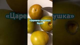 Сорта томатов 2024.#сортатоматов #огородсвоимируками #открытыйгрунт #помидоры #огород #грядки #дача
