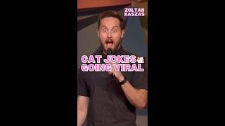 Cat Jokes Going Viral | Zoltan Kaszas #shorts #cats
