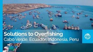 Coastal Fisheries: Solutions to Overfishing in Cabo Verde, Ecuador, Indonesia, and Peru