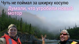 Рыбалка на хариуса. Чуть не поймали косулю рукам. На этой реке надо было снимать Аватар. путь воды-2