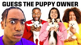 Match The Puppy To The Owner