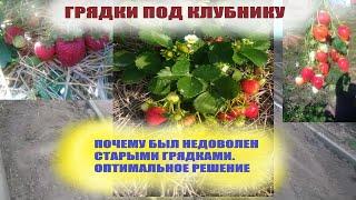 Выращивание клубники в саду и огороде.Почему решил переделать грядки под клубнику