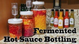 Fermented Hot Sauce Part 2   Blending and Bottling