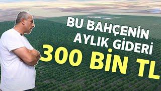 Bu Bahçenin Aylık Gideri 300 Bin TL - Çetin Ceviz