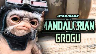 OFFICIAL FIRST LOOK at The Mandalorian and Grogu!