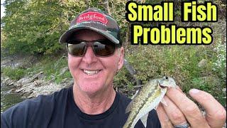 THIS Is Why You Are Catching Only Small Bass…