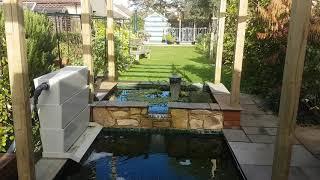 My koi pond advice before you start.