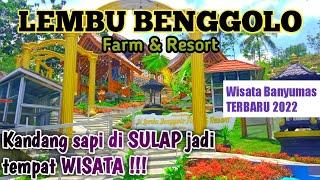 Wisata Lembu Benggolo Farm & Resort | Wisata Terbaru 2022 Banyumas