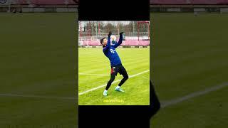 Lewandowski Training Skills 