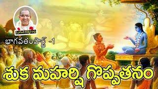 శ్రీమధ్భాగవతం పార్ట్-1 || bagavatham | vedavyasa | shukamuni |  chaganti |