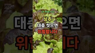 상추, 제대로 안 씻고 먹으면 위험합니다 #올바른정보#건강관리 #지식 #상추효능