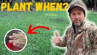 Most Important Fall Food Plot Planting Video To WATCH!