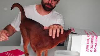 Распаковка: Стартовый Набор SUPERPET — Здоровое BARF питание для кошек и собак