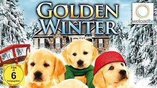 Golden Winter - Wir suchen ein Zuhause [HD] (Weihnachtsfilm | deutsch)