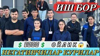 ИШ ВА НЕГАТИВ КОМЕНТАРИЯЛАРГА ОТВЕТ. ИШ БОР БЕЗ ДОКУМЕНТ 1500 гача ОЙЛИК #мусофирлар