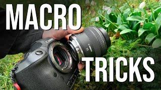 I LOVE these easy macro photography tricks (Tutorial with ideas and editing)