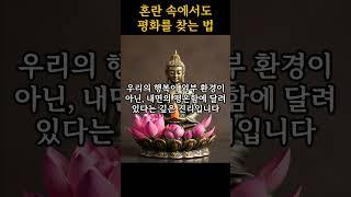 부처님이 알려준 '혼란 속에서도 평화를 찾는 법!'ㅣ부처님 말씀ㅣ불교명언ㅣ #삶의지혜 #불교명언 #인생명언
