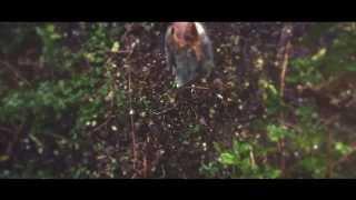 CATSELF feat. Saint Nicholas Orchestra | Alien Vampiress Is Fitting In