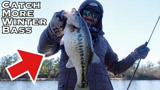 Don't Overlook this KILLER COLD WATER BAIT!!