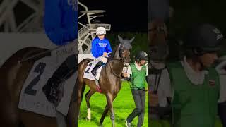 Meydan Horse Race  #shorts  #dubaiworldcup #youtubeshorts