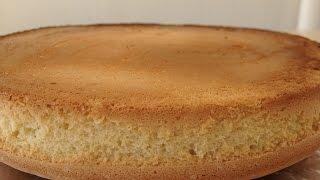 Sponge Cake (You will succeed 100%) English Subtitles